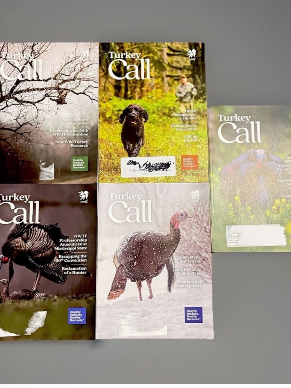 Turkey Call Magazine 5 - Assorted 2025(2), 2026(3) Nt’l Wild Turkey Federation